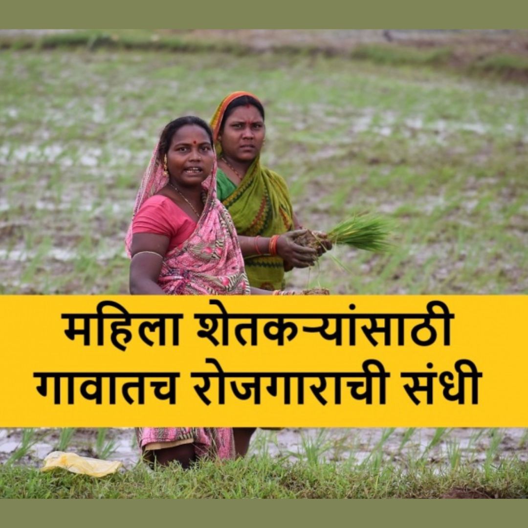 Farmers in rural regions have become self-reliant with the support of women's authorities and self-assist organizations. Let's learn about such a PMFME scheme.